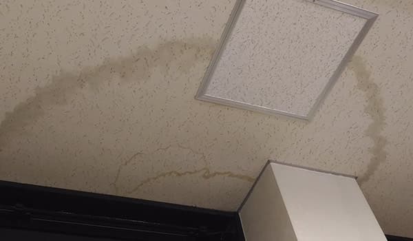雨漏りの初期症状：天井や壁のクロスのシミ
