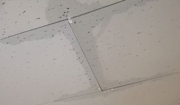 雨漏りの初期症状：天井からの水滴や水濡れ