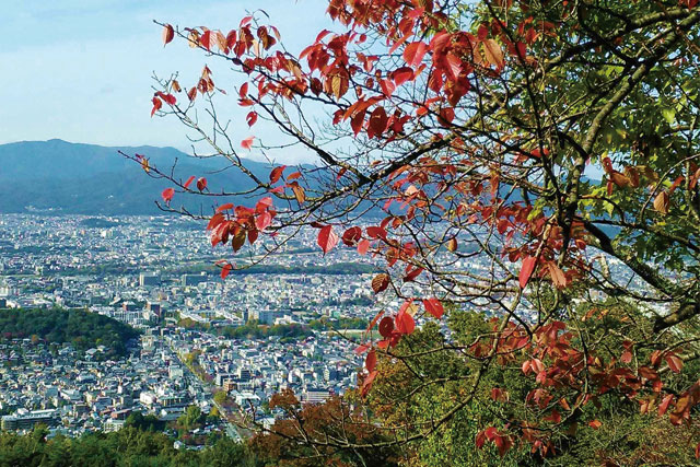 ①【左京区　K様邸】足場の組立て