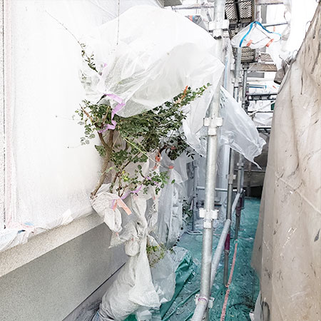京都府城陽市　戸建て外壁塗装工事　⑦（上塗り塗装の概要編）